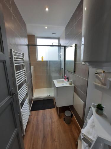 ein kleines Bad mit einem Waschbecken und einer Dusche in der Unterkunft Appartement cœur de ville in Beauvais