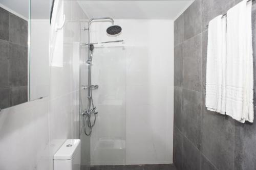 a bathroom with a shower and a toilet at Kolymvari Hills in Chania Town