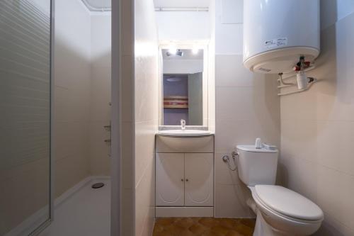 a bathroom with a toilet and a sink and a shower at appartement pour 4 personnes in Saint-Mandrier-sur-Mer