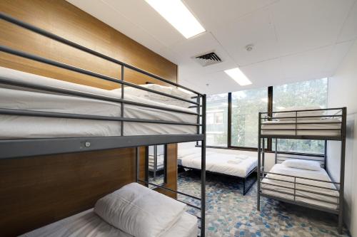 two bunk beds in a room with a window at Trademark Hostel Sydney in Sydney