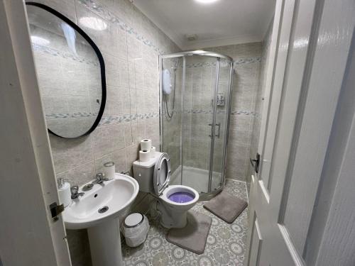 y baño con ducha, aseo y lavamanos. en Private flat close to Sunderland centre en Pallion
