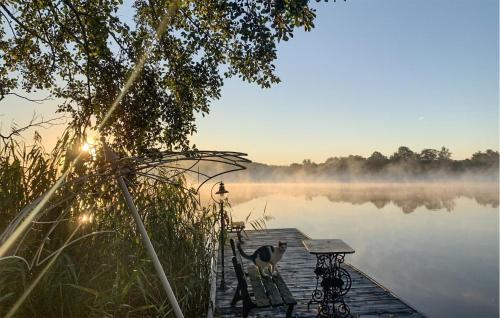 a cat standing on a dock next to a lake at Cozy Apartment In Wegorzyno With Wifi in Węgorzyno