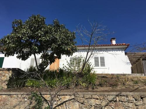 ein weißes Haus mit einem Baum davor in der Unterkunft GuestReady - Nature's Haven Retreat in Pedrógão Pequeno