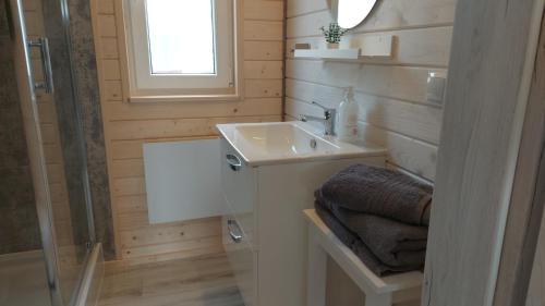 bagno con lavandino e doccia di Domus Mare Tiny House 1 a Wisełka