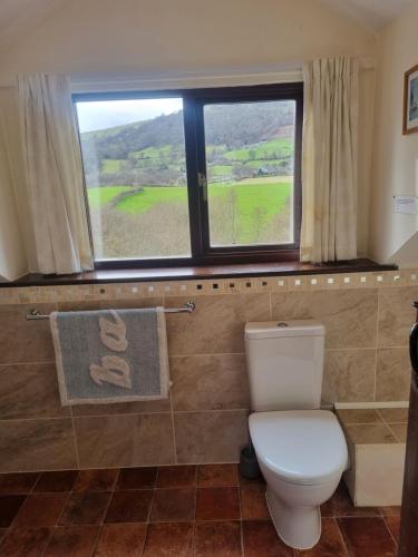 a bathroom with a toilet and a window at Sycamore Cottage in Conwy