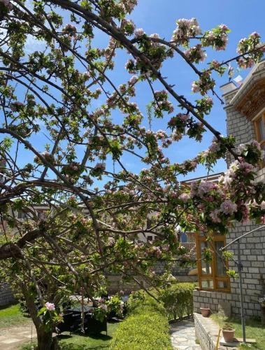 a tree with pink flowers in front of a building at Hotel Lumbini in Leh