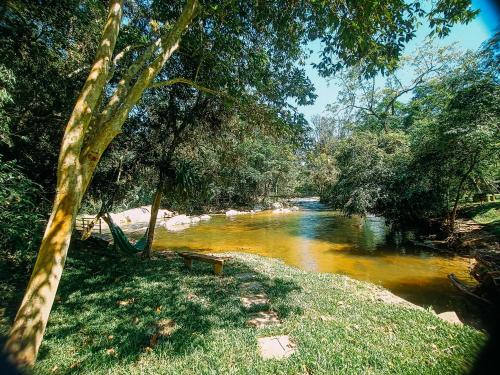 a bench sitting next to a river with trees at Suíte com cachoeira no quintal in Antônio Carlos