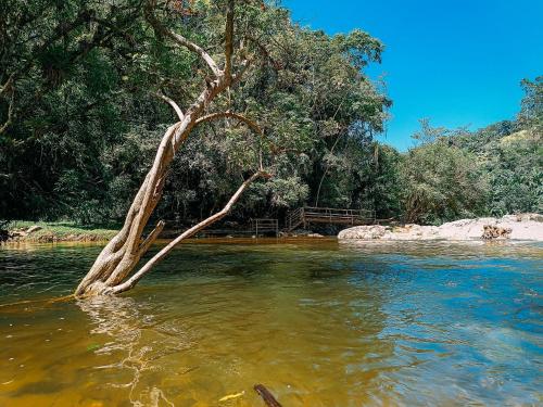 a tree in the middle of a river at Suíte com cachoeira no quintal in Antônio Carlos