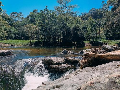 a river with rocks and trees in the background at Suíte com cachoeira no quintal in Antônio Carlos