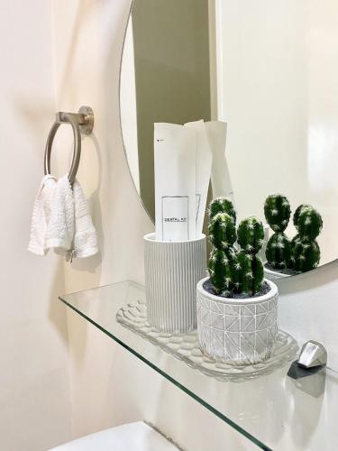 a bathroom shelf with a mirror and green cactus at The Loop Studio at 5th floor Limketkai Mall infront Atrium Lucky 11 in Cagayan de Oro