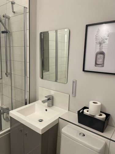 a bathroom with a sink and a toilet and a mirror at NHS Workers and Students Haven - The Bee Hive in Reading