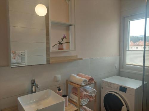 La salle de bains est pourvue d'un lave-linge et d'un lavabo. dans l'établissement Appartment Gartenblick, à Klopein am Klopeiner See