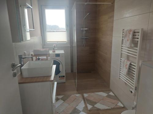 La salle de bains est pourvue d'une douche et d'un lavabo. dans l'établissement Appartment Gartenblick, à Klopein am Klopeiner See