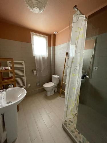 une salle de bain avec une douche, des toilettes et un lavabo dans l'établissement Maison Quartier de Pors Carn, à Penmarcʼh