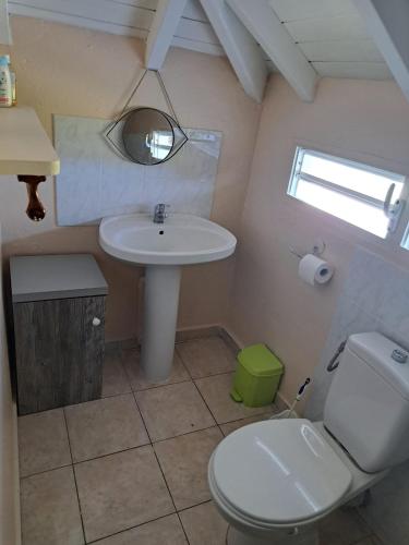 a small bathroom with a sink and a toilet at Fleurs d'hibiscus in Grand-Bourg