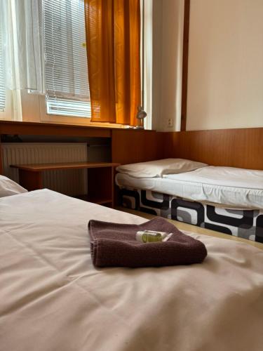 Postel nebo postele na pokoji v ubytování Hotel Avion