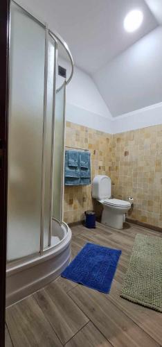 a bathroom with a shower and a toilet and blue mats at Casa Monte de Paz in Calheta