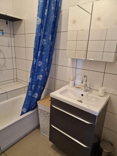 uma casa de banho com um lavatório, um chuveiro e uma banheira em Apartment close to Lyon and Parc de Parilly em Saint-Priest