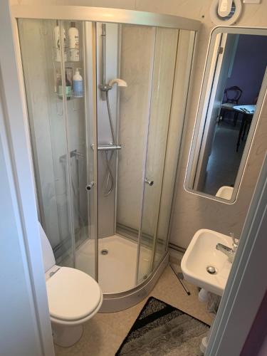 a bathroom with a shower and a toilet and a sink at Sätofta Hed in Höör