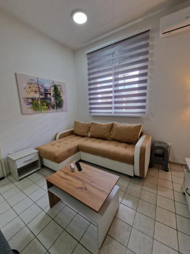 uma sala de estar com um sofá e uma mesa de centro em Studio Petrovac B em Petrovac na Mlavi