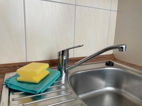 a sponge sitting on a sink next to a faucet at Pension Leyerhof in Wendisch Baggendorf