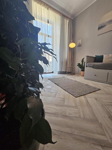 a living room with a plant and a couch at ZIG ZAG apartment 4- Old Town in Constanţa