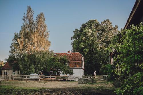 Zahrada ubytování Dom na Mazurach Pilec