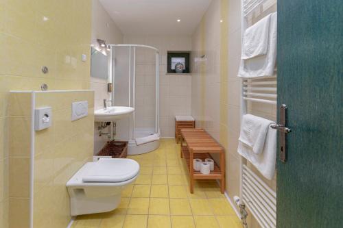 a bathroom with a toilet and a sink at Hiša Ojstrica in Solčava