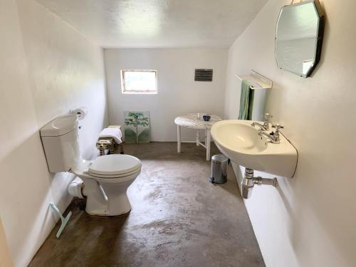 a white bathroom with a toilet and a sink at Hillhouse Accommodation in Howick