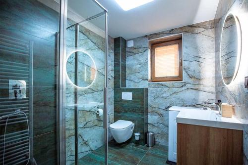 a bathroom with a shower and a toilet and a sink at Chalupa U Myslivce in Dolní Lomná