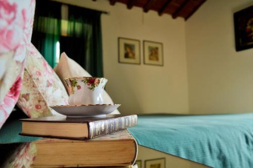 a stack of books and a tea cup on a table at Agriturismo Il Caggio in Sovicille
