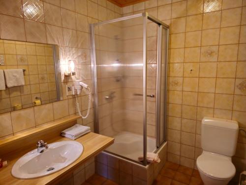 a bathroom with a shower and a sink and a toilet at Haus Schweighofer in Neuberg an der Mürz