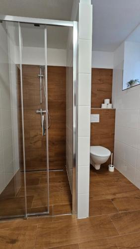 a bathroom with a glass shower with a toilet at Apartmány U Provazníka in Zdíkov