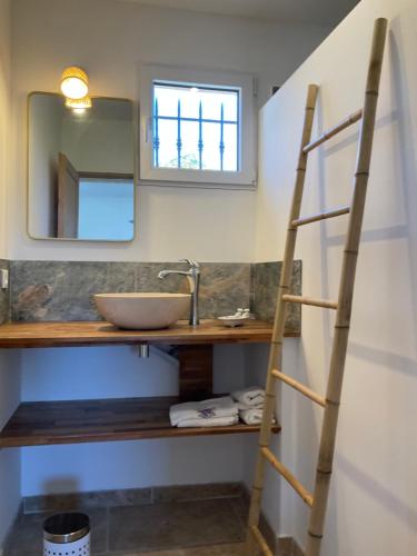 ein Badezimmer mit einer Leiter neben einem Waschbecken in der Unterkunft La jasse in Cabrières-dʼAigues