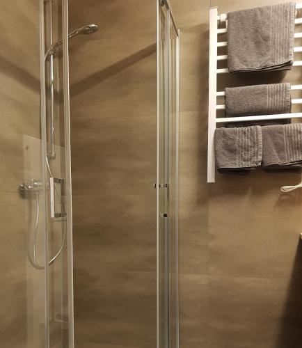 a shower with a glass door in a bathroom at Hotel Landgasthof Hirsch in Marktlustenau