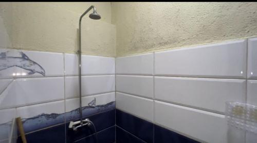 a shower in a bathroom with blue and white tiles at Luxurious two bathroom apartment Paramaribo, Zorg en Hoop in Paramaribo