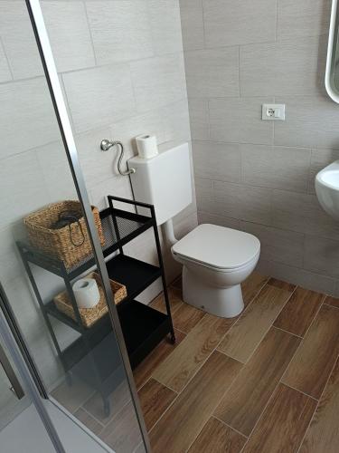 a bathroom with a toilet and a sink and a shower at Affittacamere La Loggia in Venzone