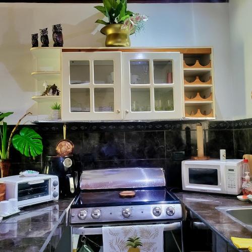 a kitchen with a stove and a microwave at Villas Playa Palo Seco in Parrita