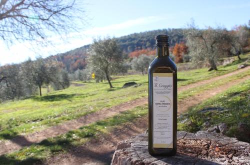 a bottle of wine sitting on top of a rock at Agriturismo Il Caggio in Sovicille