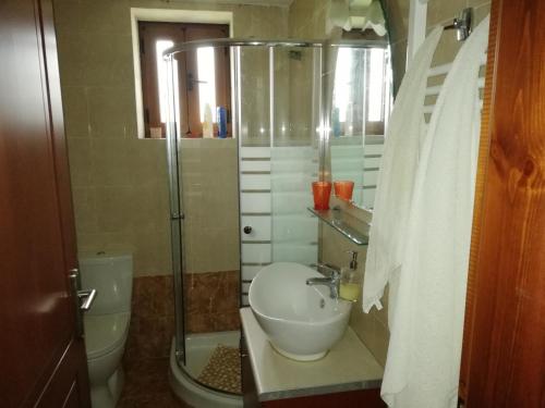 a bathroom with a shower and a sink and a toilet at Drys Stone House in Miriokéfala