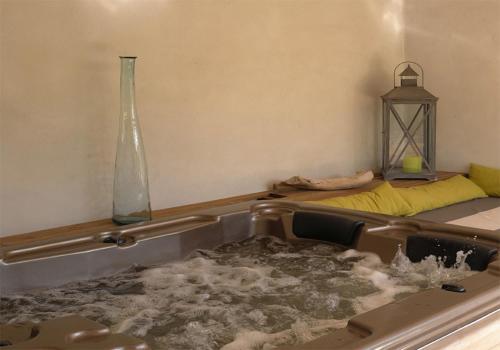 a pool of water in a room with a vase at Le Mas Des Brunes in Saint-Laurent-dʼAigouze