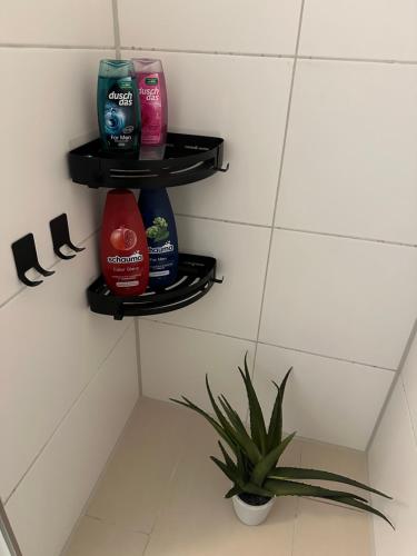 a bathroom with three shelves of soap and a plant at Zentrale, 55m2, helle 2 Zimmer Whg nähe Messe in Düsseldorf