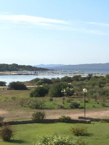 a view of a body of water with a harbor at Residence Porto Coda Cavallo in San Teodoro