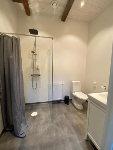 uma casa de banho com uma cabina de duche em vidro e um WC. em Tastecelebration Residence em Andrarum-Brosarp