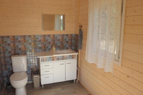 a bathroom with a toilet and a sink and a mirror at Dižozoli in Priekule