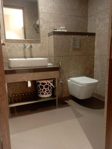 a bathroom with a sink and a toilet and a mirror at PUSHPAK HOTEL & CONVENTION in Bhubaneshwar