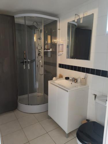 une salle de bain avec une douche, un lavabo et des toilettes dans l'établissement Maison au calme au coeur du vignoble nantais, à Le Landreau