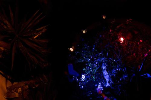 a christmas tree with blue lights in the dark at Villa Venere - Amalfi Coast - Private Sea Access in Cetara