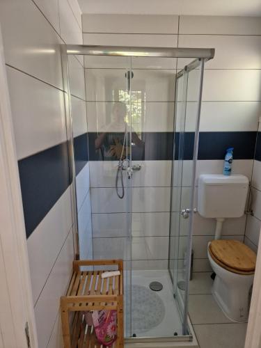 a bathroom with a shower and a toilet at Nébel Vendégház in Komárom