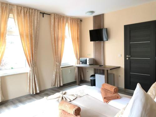 a room with a bed and a tv and windows at Pension Goldenes Vogtland in Adorf